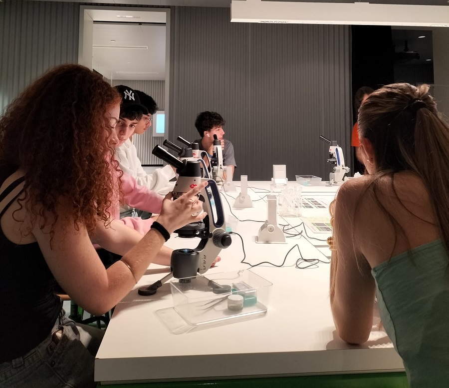 Taller de microscòpia a CosmoCaixa