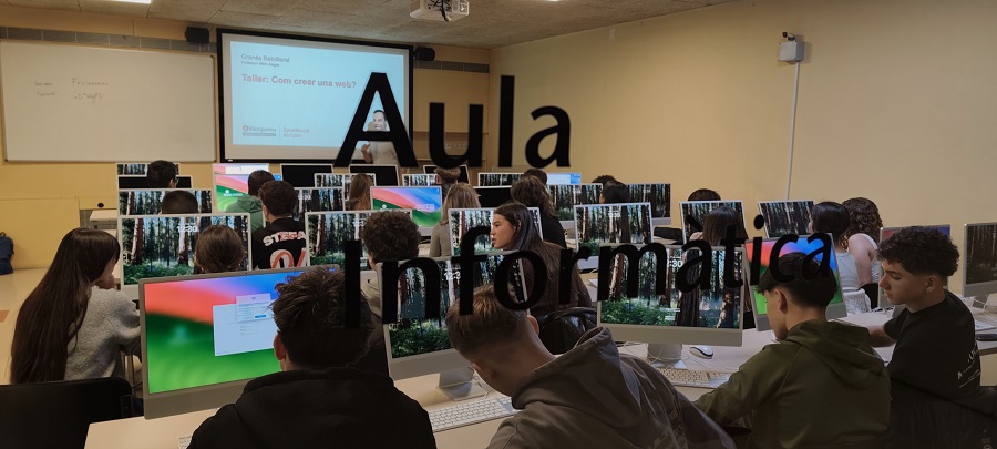 Taller de creació d'una web
